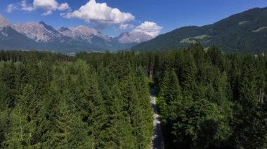 Dağlara giden çam ağaçlı hava aracı dar asfalt şeritli, güneşli gökyüzü ile sık çam ağaçlarının üzerinde süzülüyor.