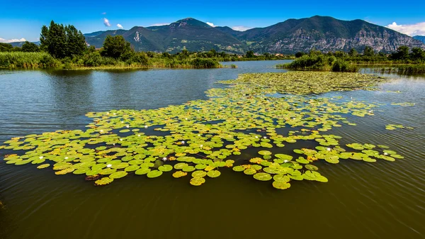 Lombardije Italië - Sebino wetland — Stockfoto