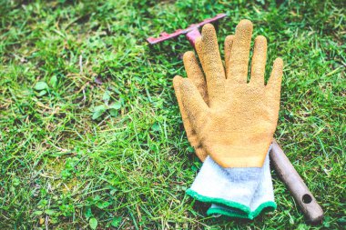 yeşil bahçe aletleri