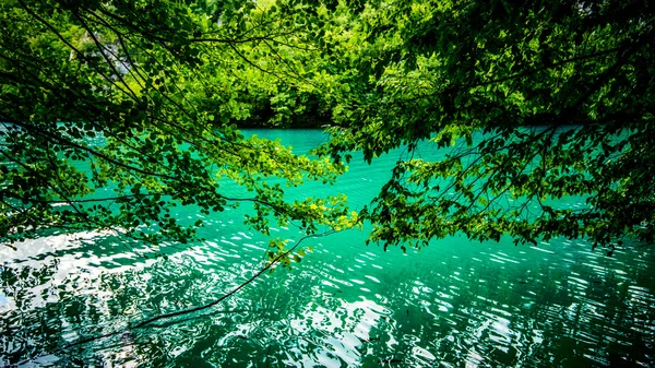 View of beautiful lake — Stock Photo, Image