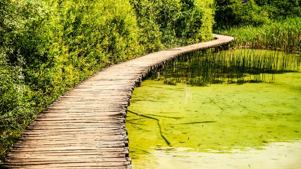 Passerelle sur le beau lac — Photo