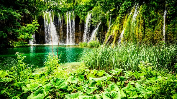 View of beautiful waterfall — Stock Photo, Image