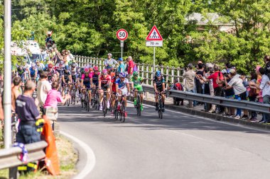 Cassano D'Adda, İtalya - Mayıs 25,2016: İtalya Bisiklet Turu, sahne 17, yakın Şehir Cassano d'Adda
