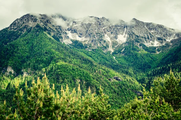 Красивий гірський пейзаж — стокове фото
