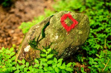 iz işareti ormanda - İtalya'da açık