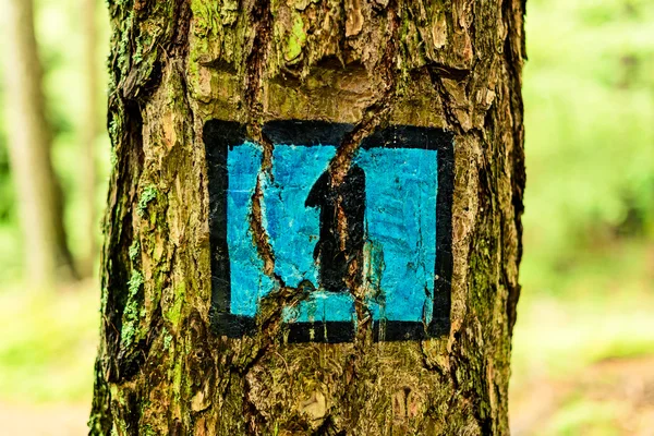 Trail sign in the forest - outdoor in italy — Stock Photo, Image