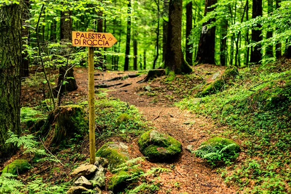 Segnaletica nel bosco - outdoor in italia — Foto Stock