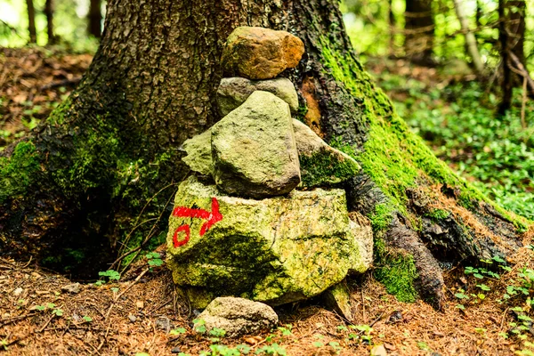 Trail teken in het bos - buiten in Italië — Stockfoto