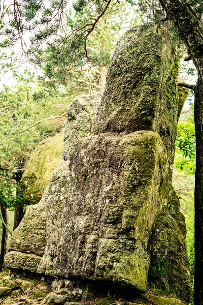 Vreemde stenen in het bos — Stockfoto