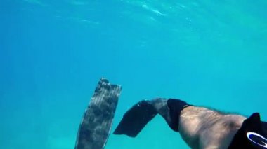 Deniz kenarında şnorkel