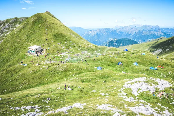 Menschen im Tierheim — Stockfoto