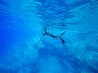 Freediver spearfishing spor