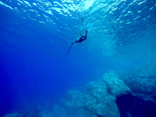 Freediver-підводне полювання-спорт — стокове фото