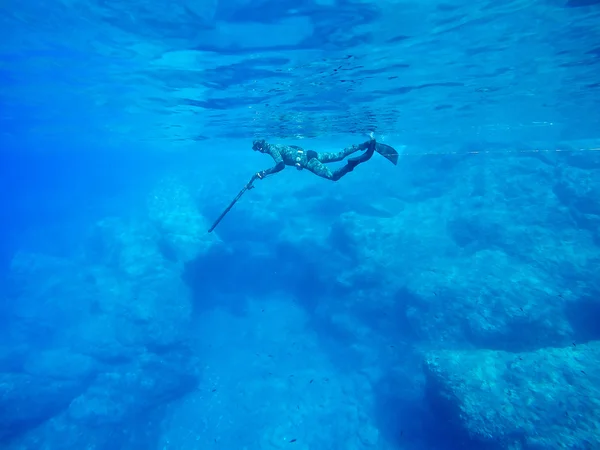 Freediver spearfishing spor