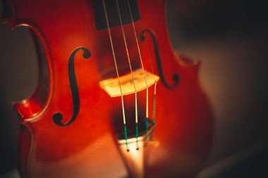 Klasik müzik için telli enstrümanlar Klasik müzik ve zanaat kavramı