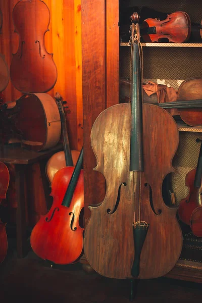 Струнные Инструменты Классической Музыки Концепция Классической Музыки Мастерства — стоковое фото