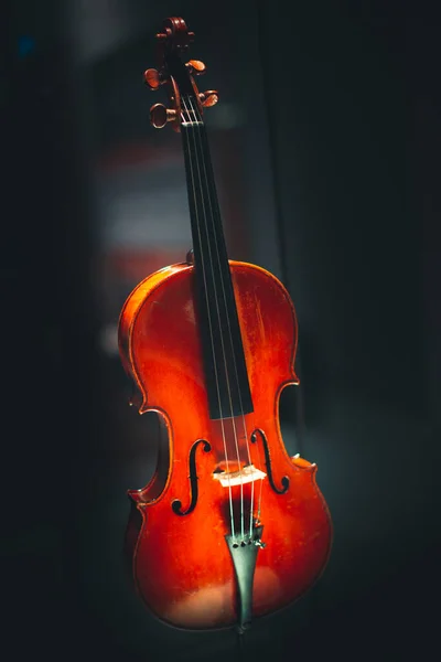 Snaarinstrumenten Voor Klassieke Muziek Concept Van Klassieke Muziek Vakmanschap — Stockfoto