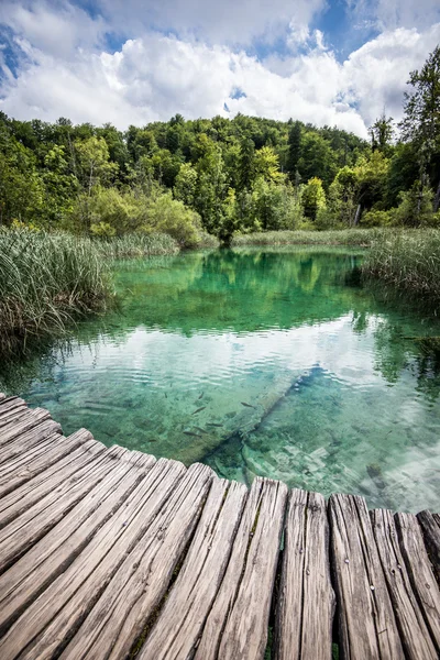 Plitvice lakes national park Croatia — Stock Photo, Image