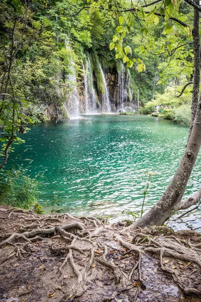 Plitvice lakes national park Croatia — Stock Photo, Image