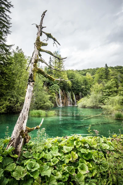 Plitvice lakes national park Croatia — Stock Photo, Image