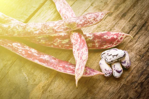 Borlotti Bönor — Stockfoto