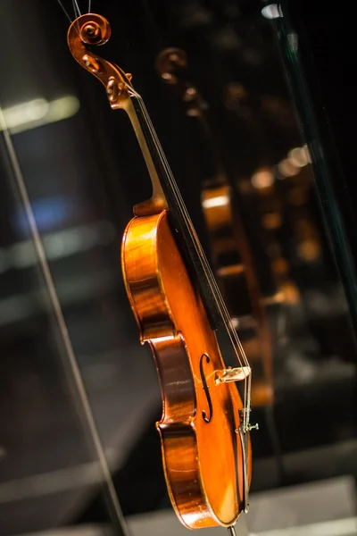 Cremona, Italia 14 de noviembre de 2014: Museo del Violín, Stradivari v — Foto de Stock