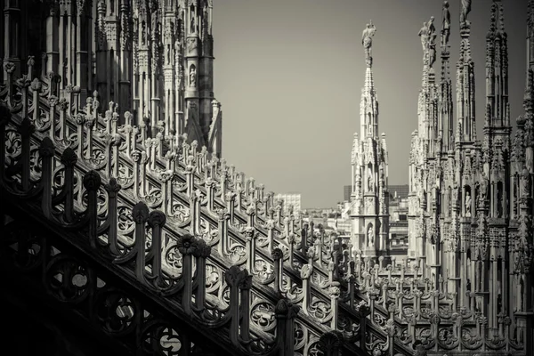 Catedral Duomo de Milão - detalhe — Fotografia de Stock