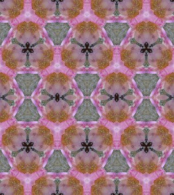 Farklı renk seçenekleri sunan çok renkli doku