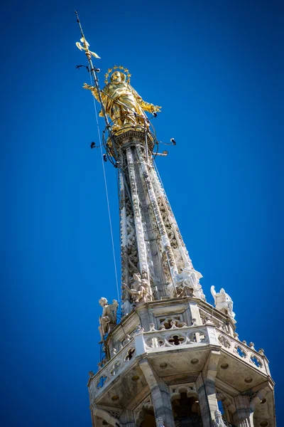 Duomo Milan - détail "Madonnina" — Photo