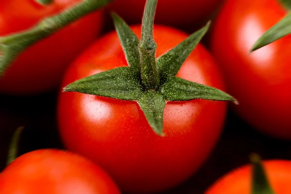 Tomates tomates de cereja de pachino - foto de estilo borrada — Fotografia de Stock