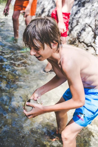 Eğlenceli küçük creek at — Stok fotoğraf