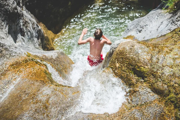 Eğlenceli küçük creek at — Stok fotoğraf