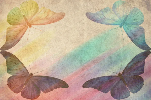Multicolor motyl — Zdjęcie stockowe