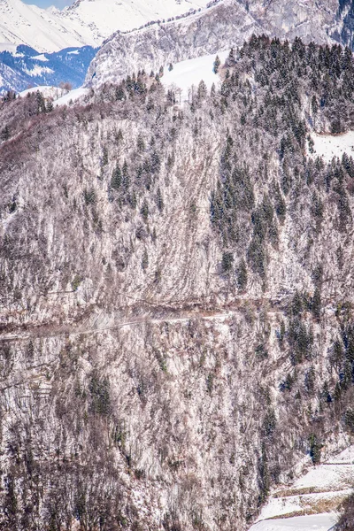 Alpejskie zima drewno — Zdjęcie stockowe