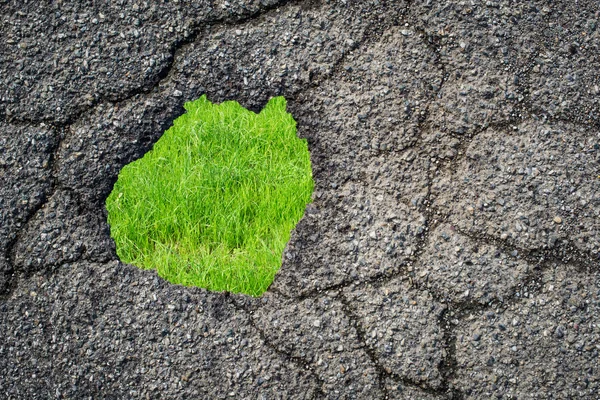 Asphalt hole and grass — Stock Photo, Image