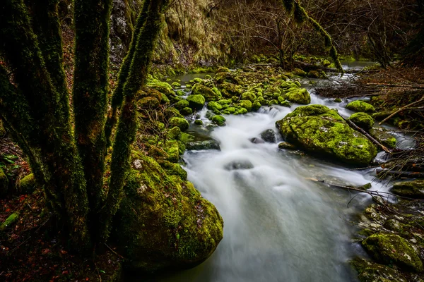 Água corrente em um pequeno riacho — Fotografia de Stock