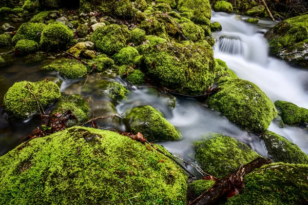 Agua que fluye en un pequeño arroyo —  Fotos de Stock