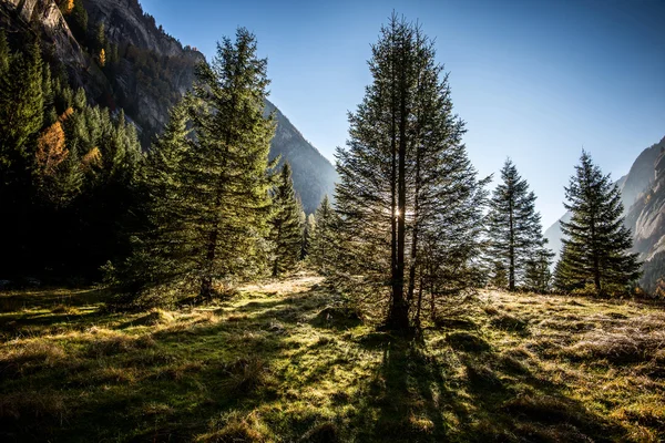 Красивый горный пейзаж осенью Valtellina Италия — стоковое фото