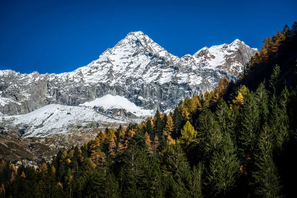 Disgrazia mount Valtellina Italië — Stockfoto