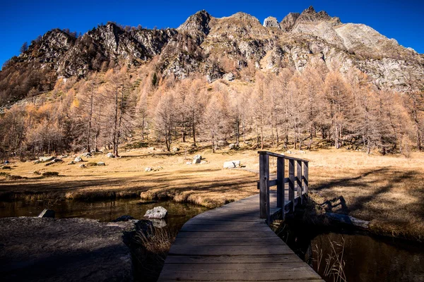 山の木の橋 — ストック写真