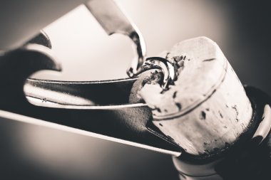 kırmızı şarap tadımı