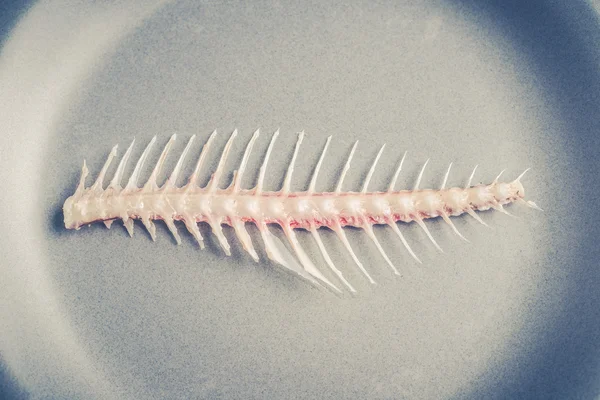 Fishbone on plate — Stock Photo, Image