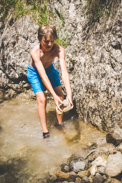 Yaz eğlenceli küçük creek at — Stok fotoğraf