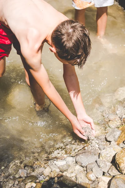 Yaz eğlenceli küçük creek at — Stok fotoğraf