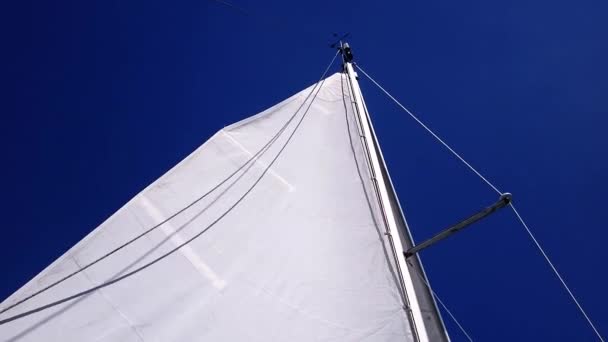 Sail in the wind — Stock Video