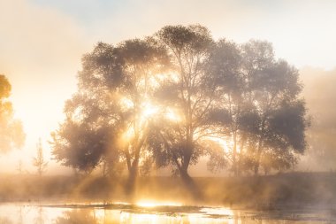 Puslu güneş şafak Seversky Donets Nehri yakınında