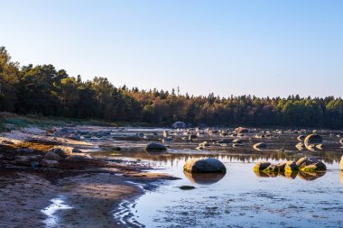 Güzel taşlar günbatımı Baltık Denizi Körfezi içinde