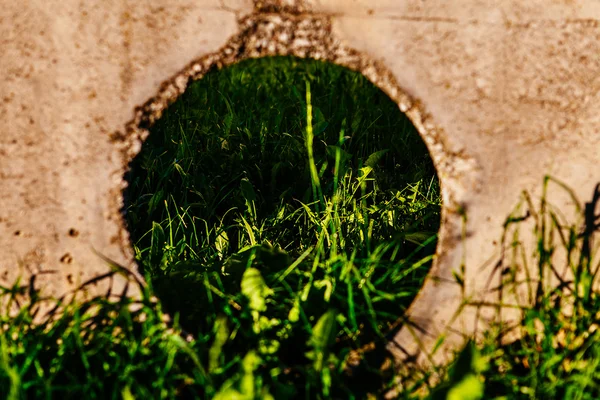 Grass and concrete — Stock Photo, Image