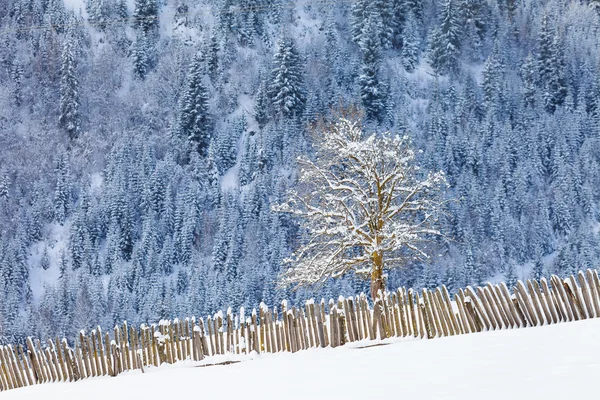 Snow fence and Caucasus Mountains — Stock Photo, Image