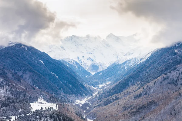 Zasněžené horské údolí pod zamračenou oblohou — Stock fotografie